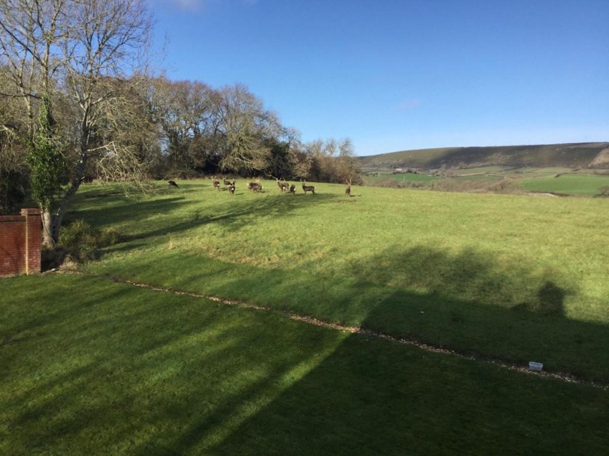 Yards Brake On 40 Acres Of Private Land Langton Matravers Exterior photo